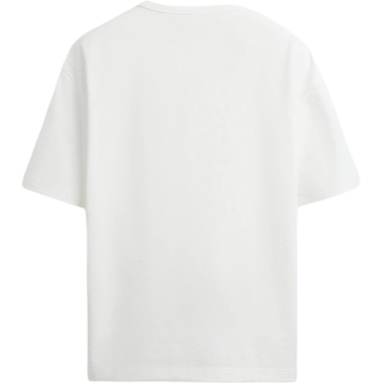 ZARA T