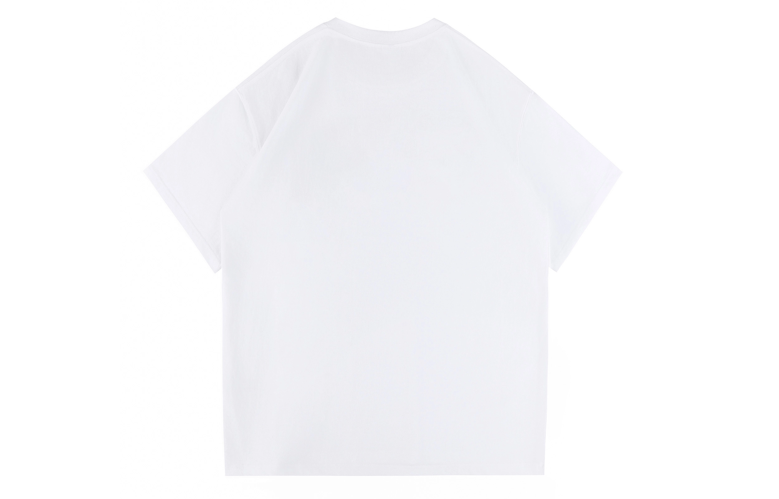 LEMANISM 270g T