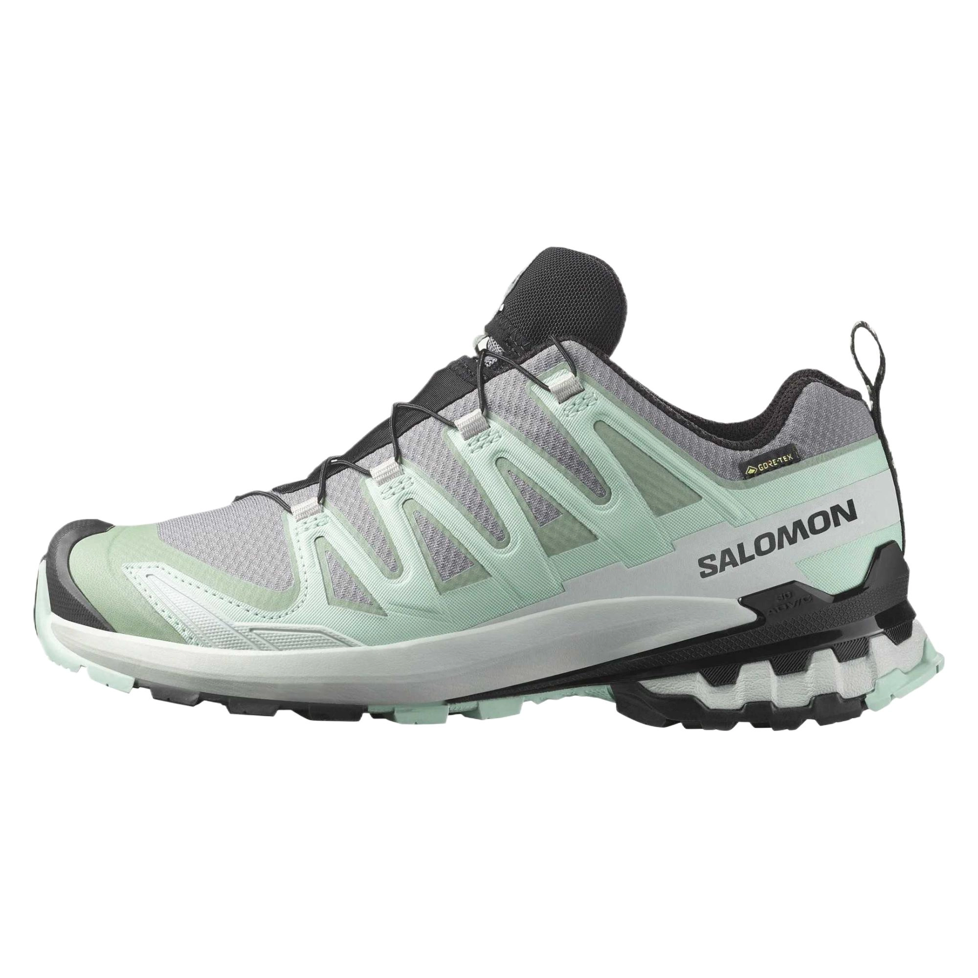 SALOMON XA Pro 3D V9 GORE-TEX