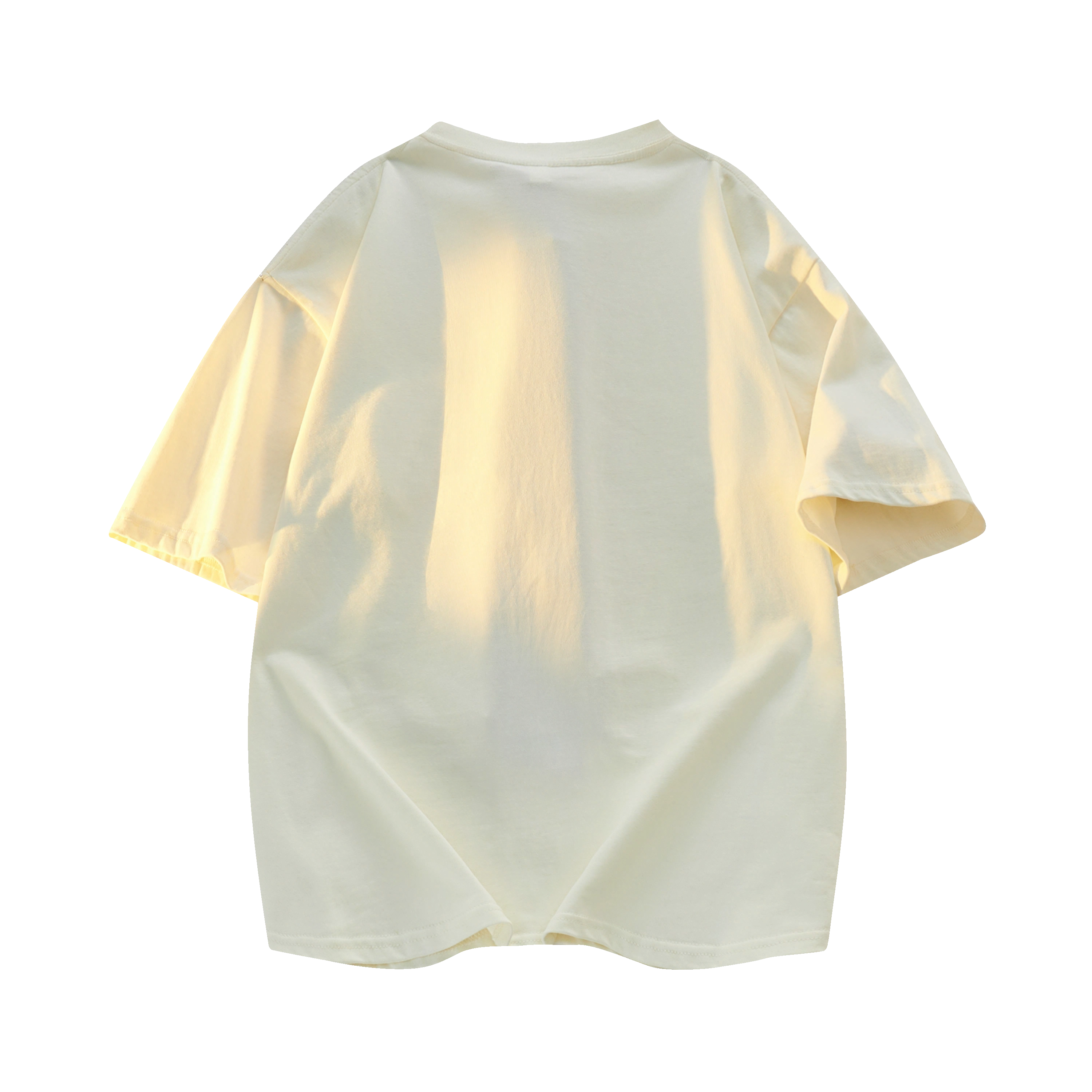 PAUL COSTELLOE logoT