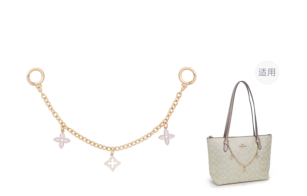 GUYI COACH ZipTop Tote24