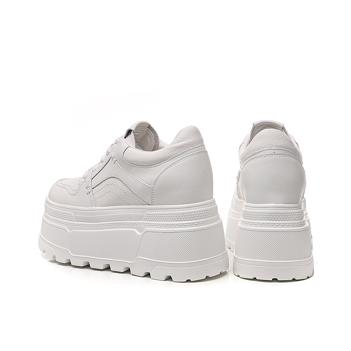 AQUASCUTUM