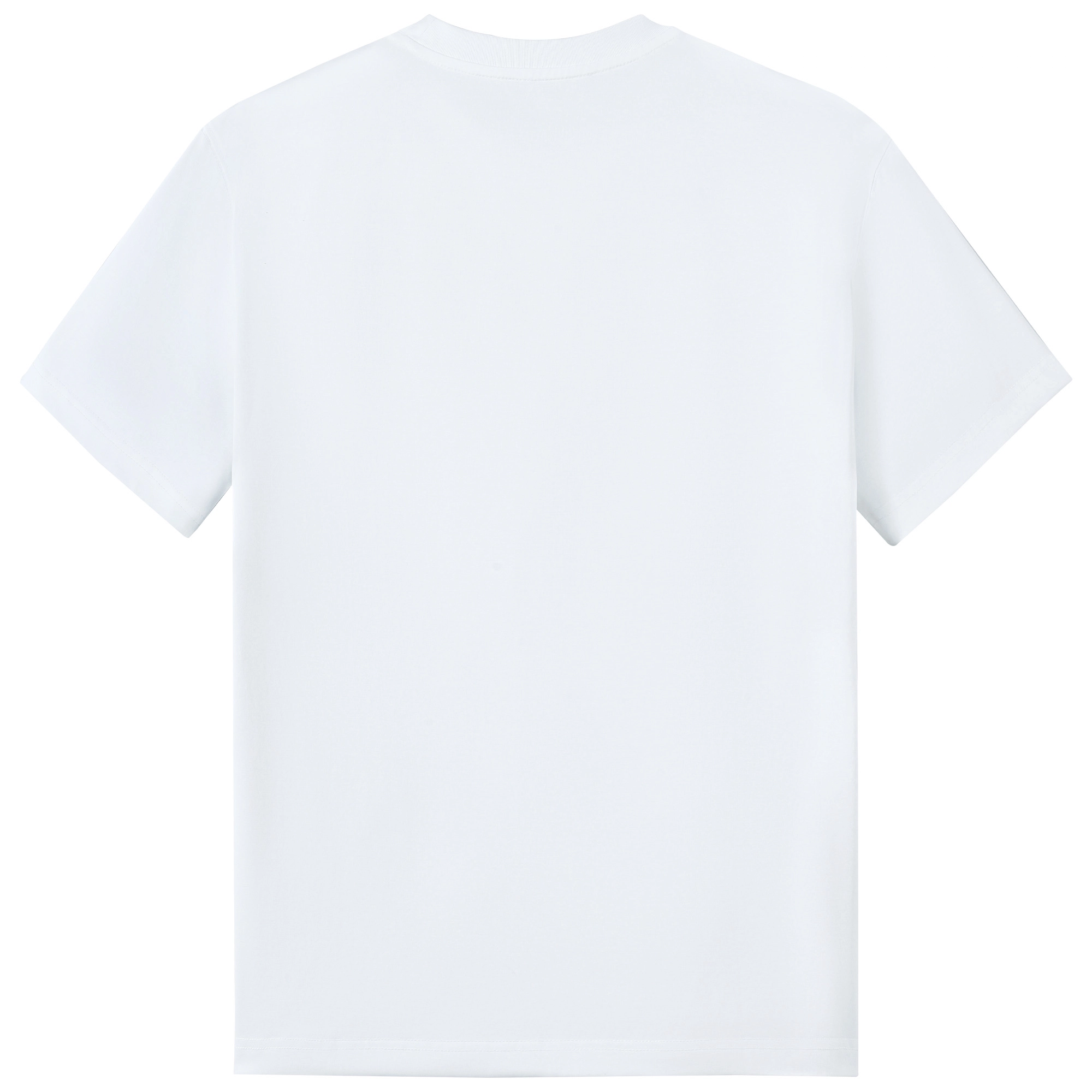 CAMEL T