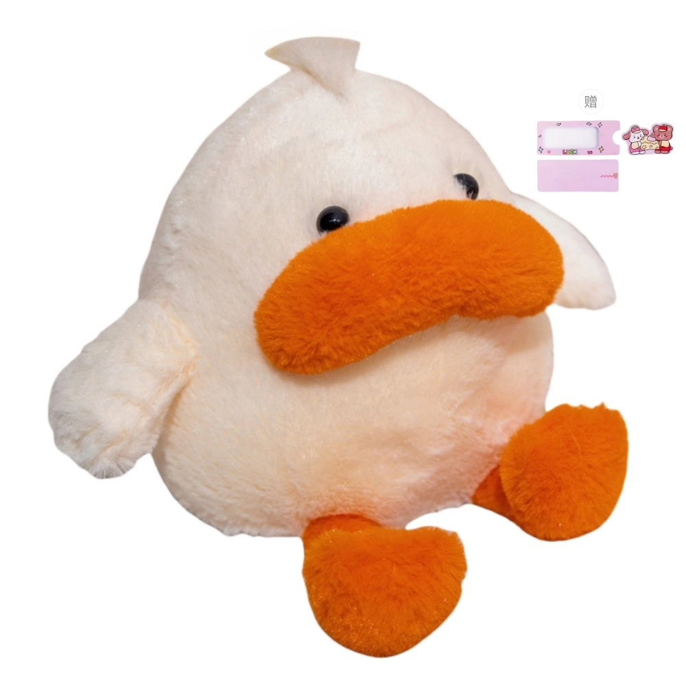 20cm