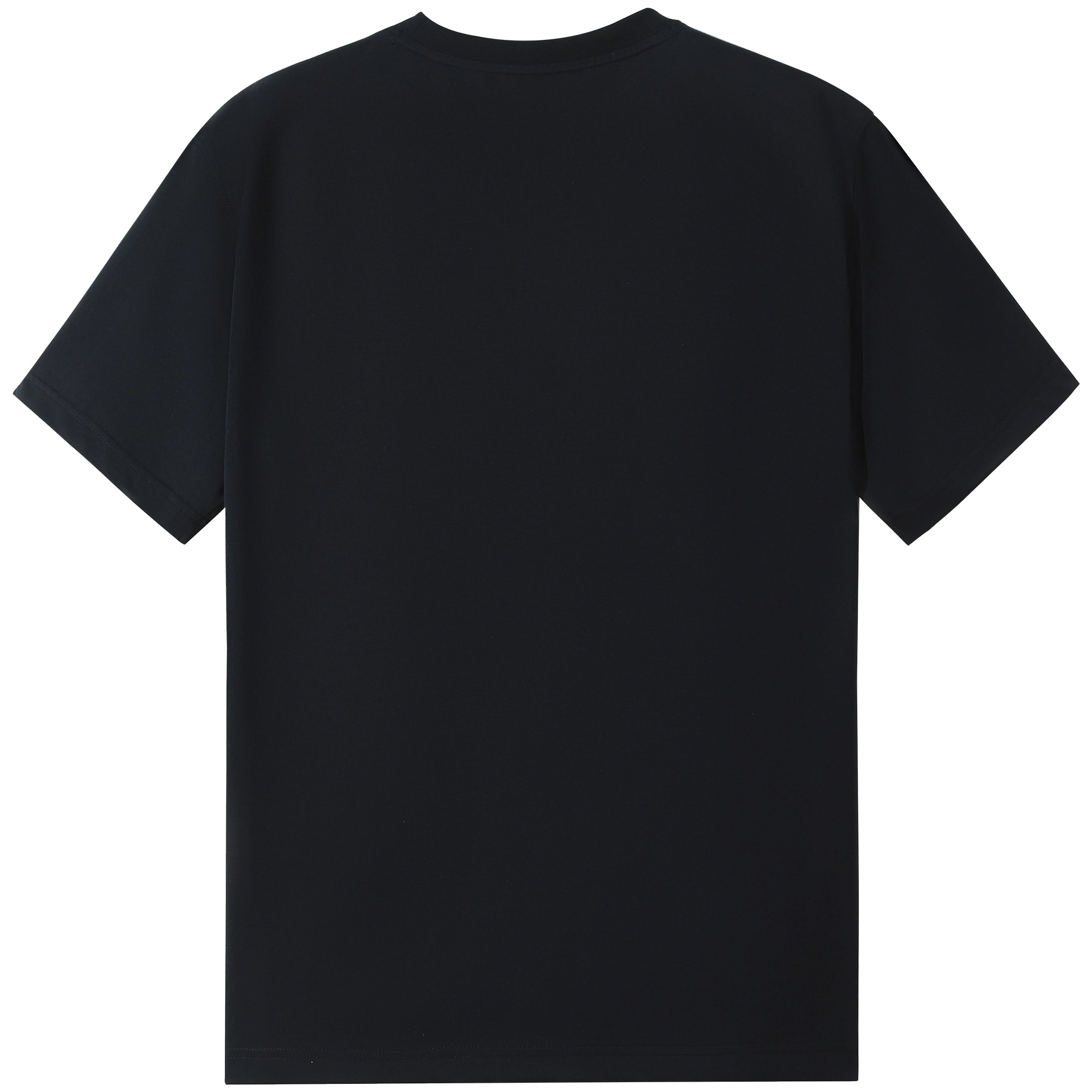 CAMEL T