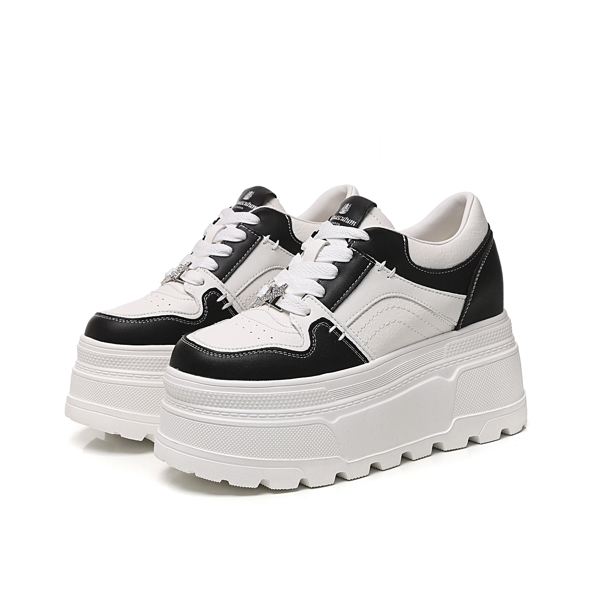 AQUASCUTUM