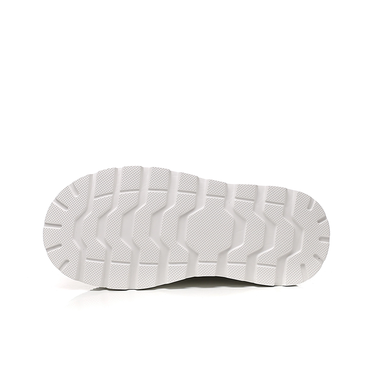 AQUASCUTUM