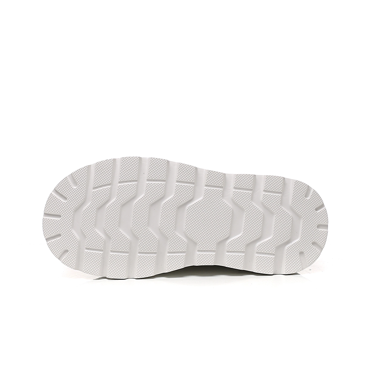 AQUASCUTUM
