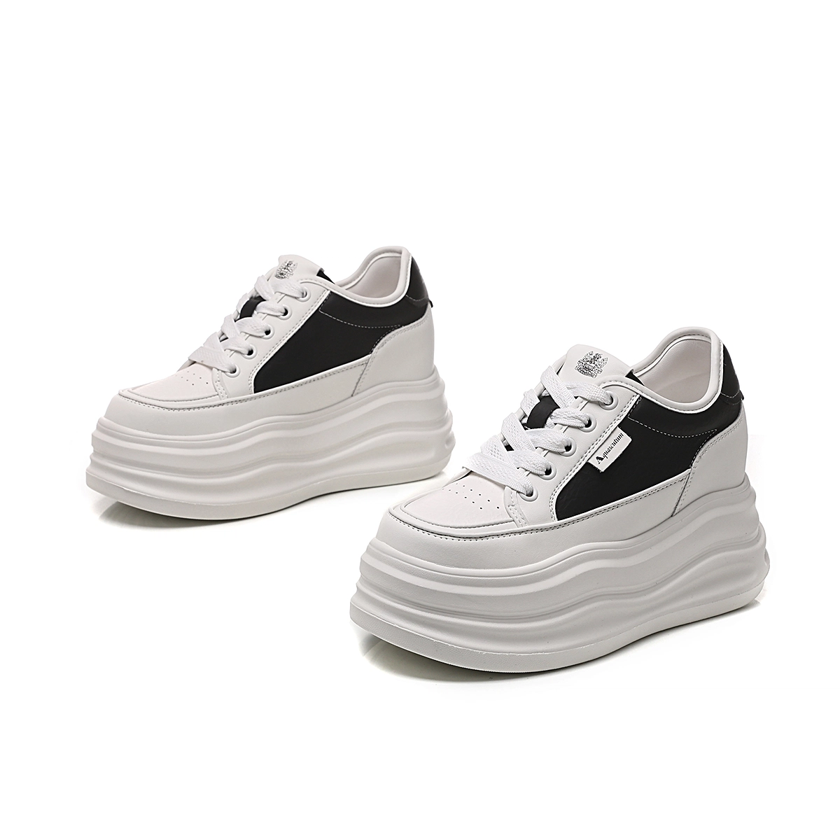 AQUASCUTUM