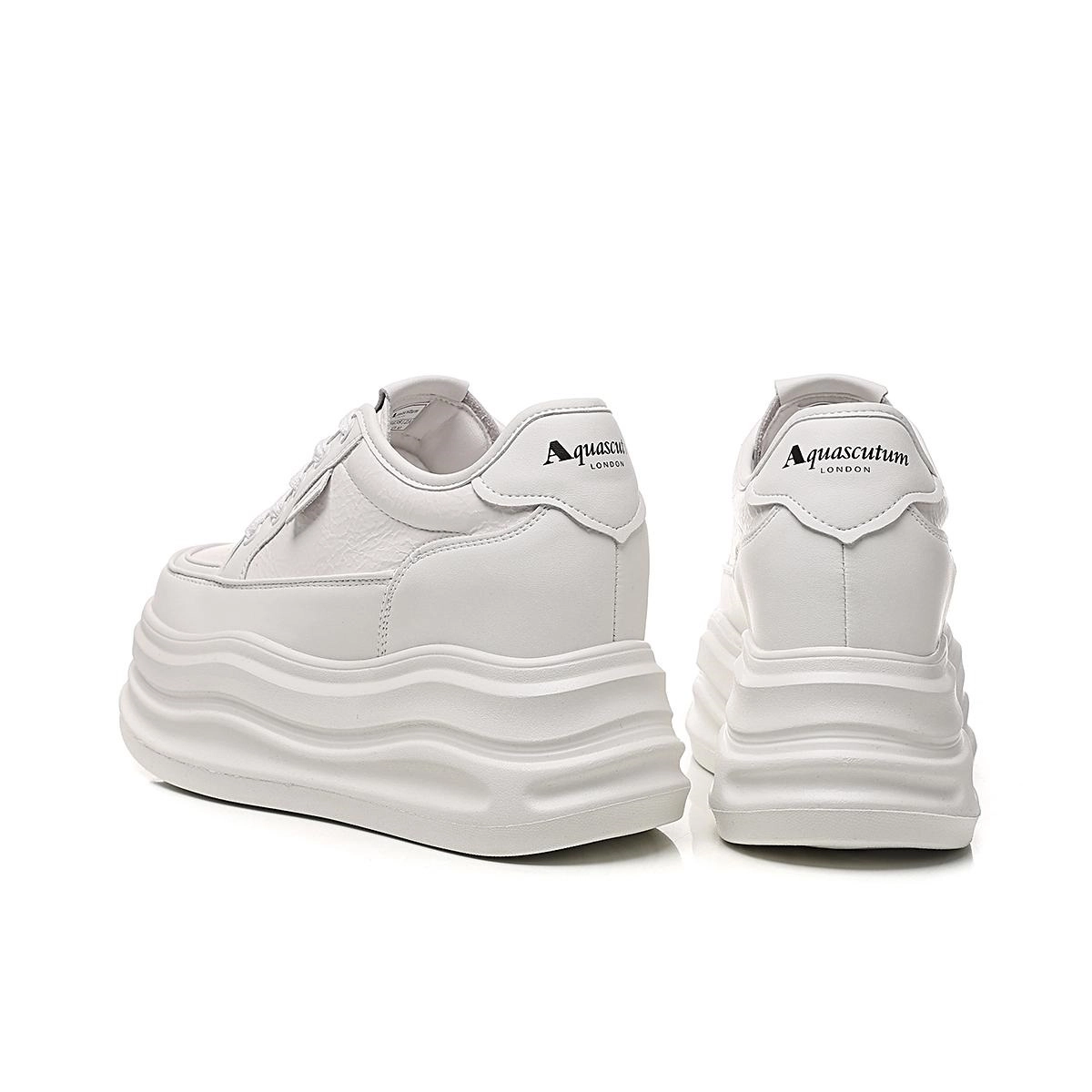 AQUASCUTUM