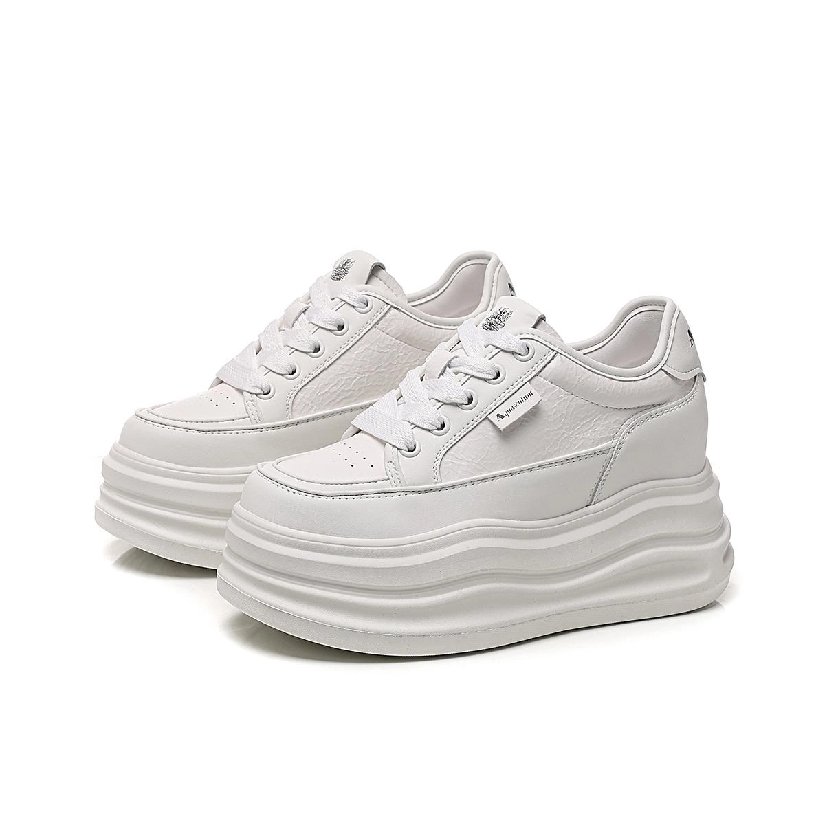 AQUASCUTUM