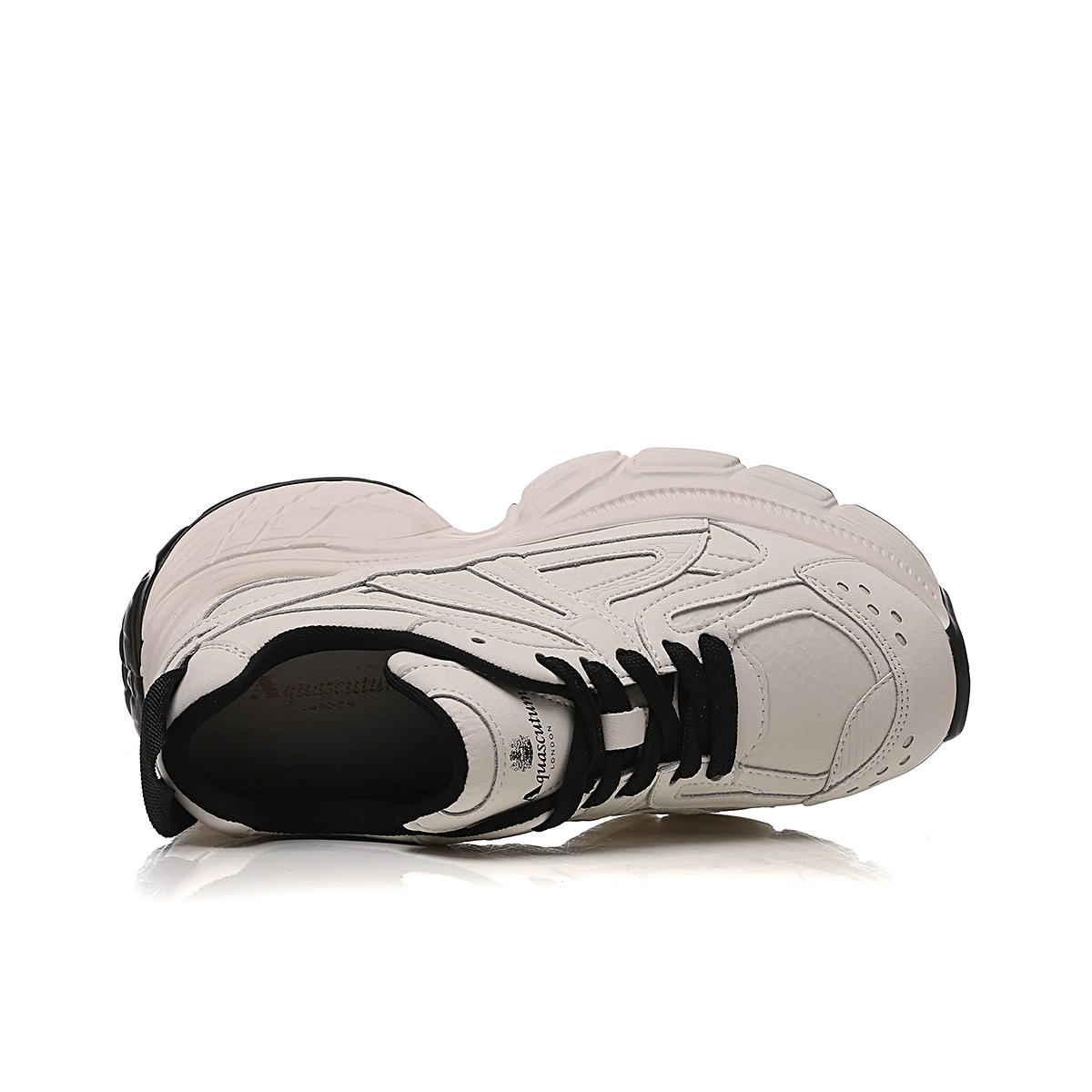 AQUASCUTUM