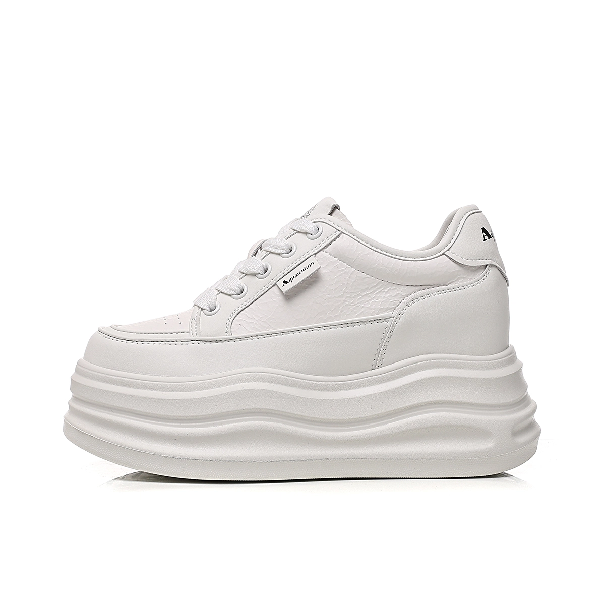 AQUASCUTUM