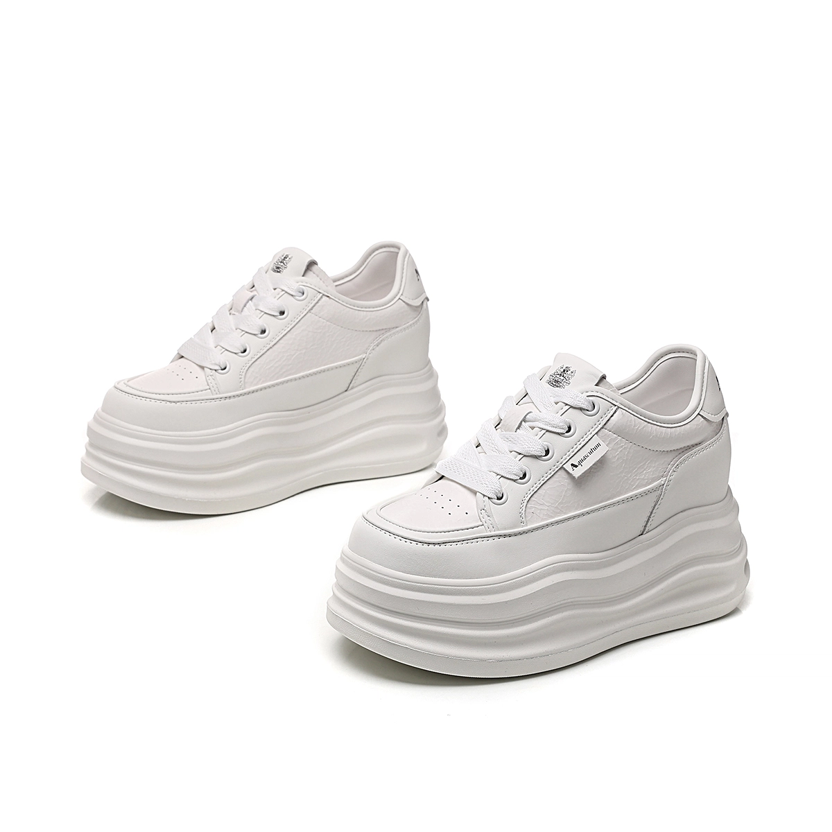 AQUASCUTUM