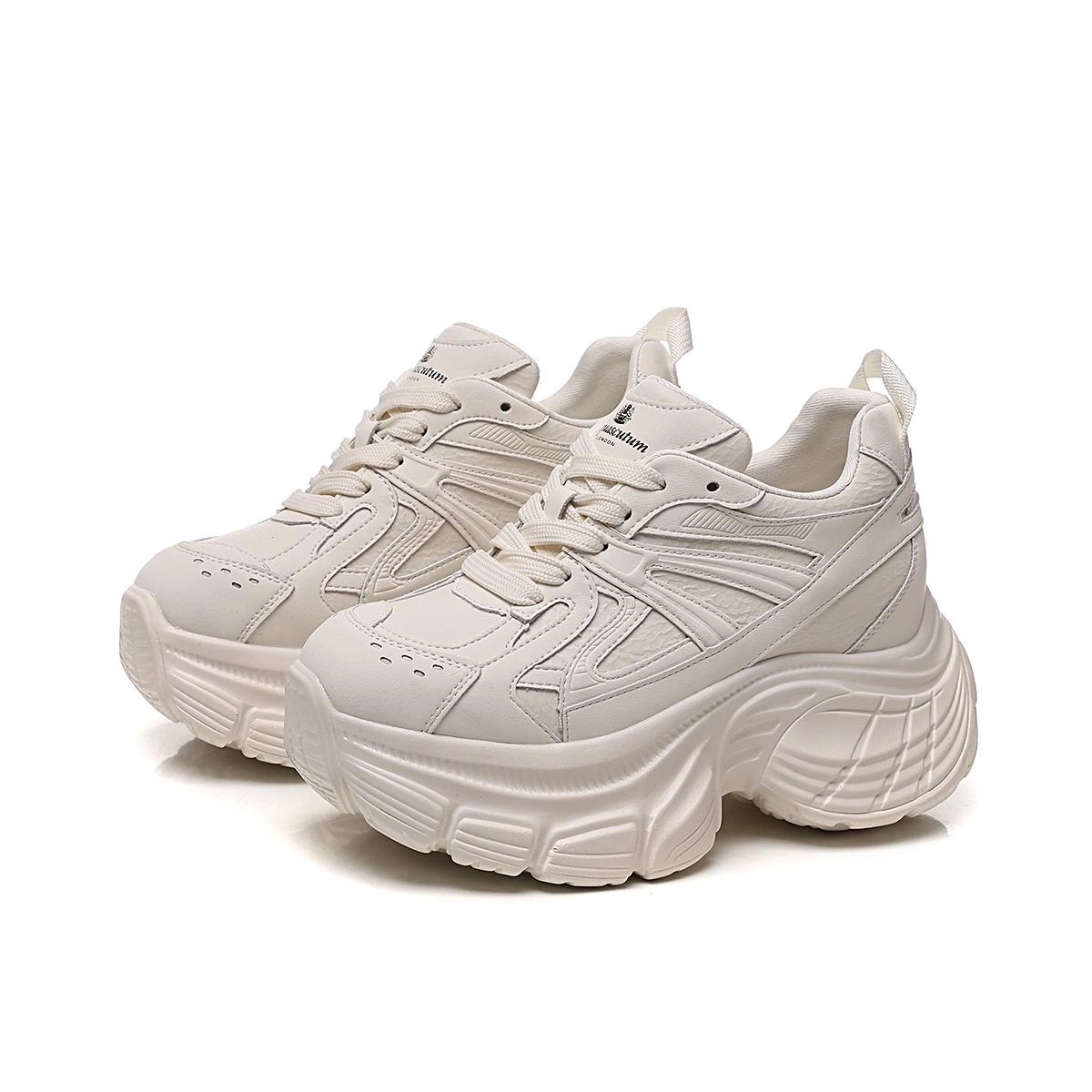 AQUASCUTUM