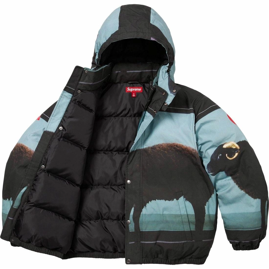 Supreme x Damien Hirst SS25 WEEK1 Down Puffer Jacket