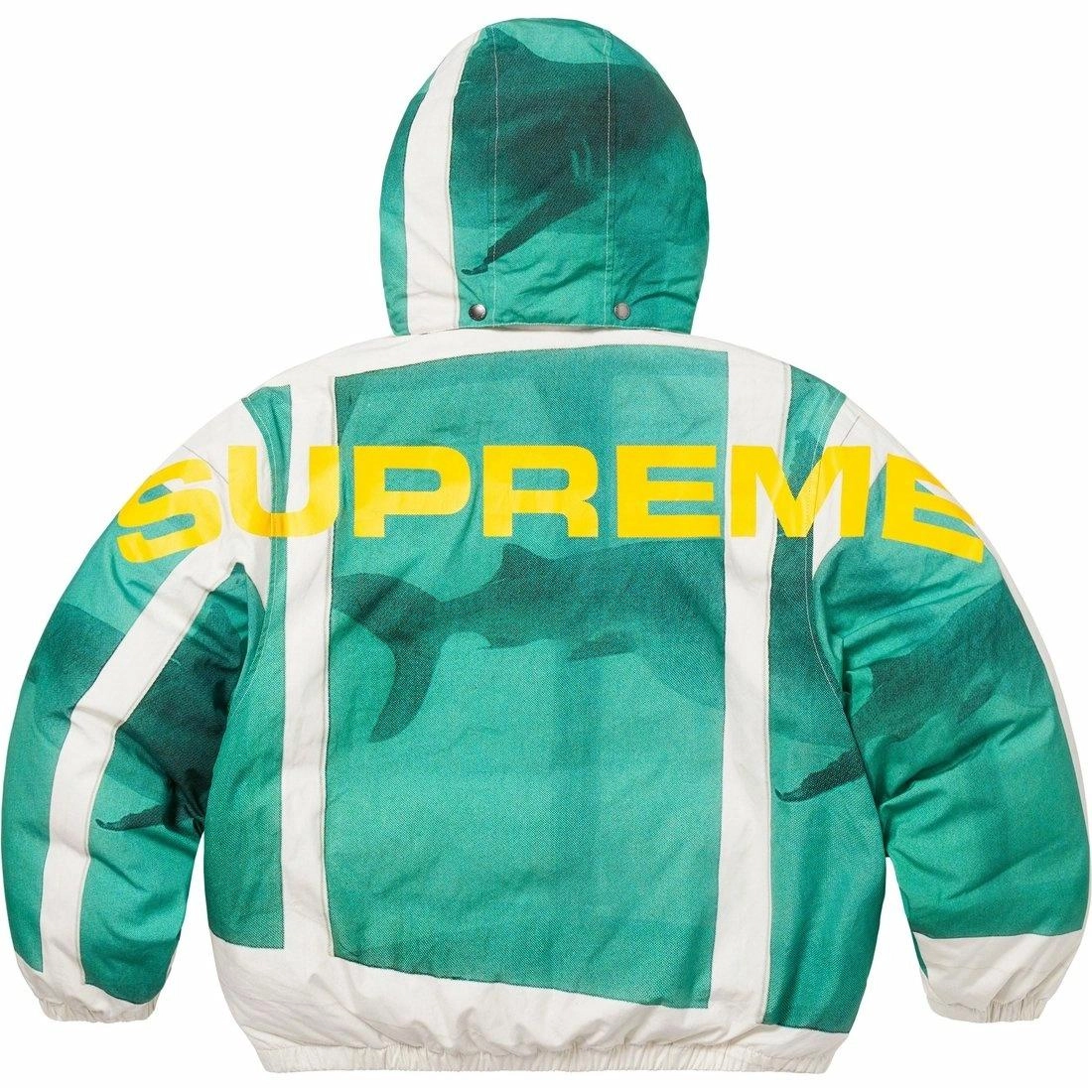 Supreme x Damien Hirst SS25 WEEK1 Down Puffer Jacket