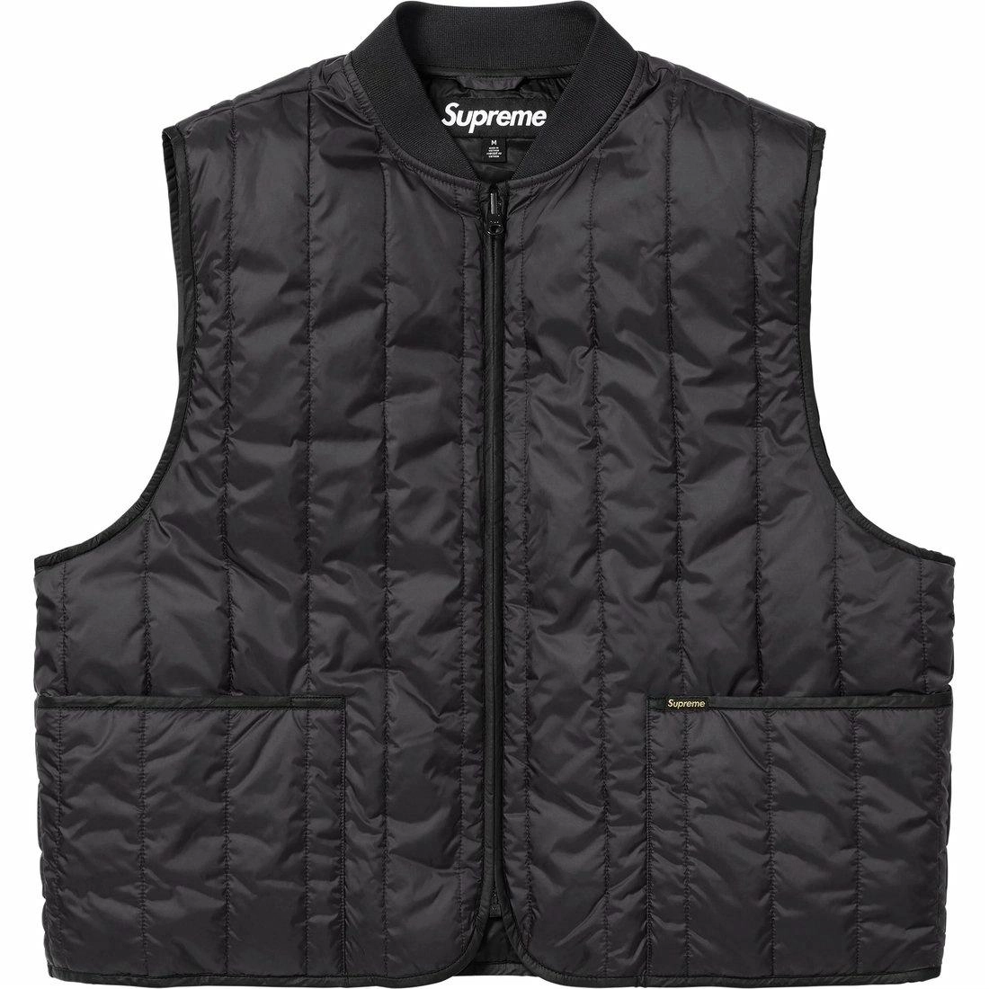 Supreme SS25 WEEK1 2-in-1 GORE-TEX Shell + Quilted Liner Vest