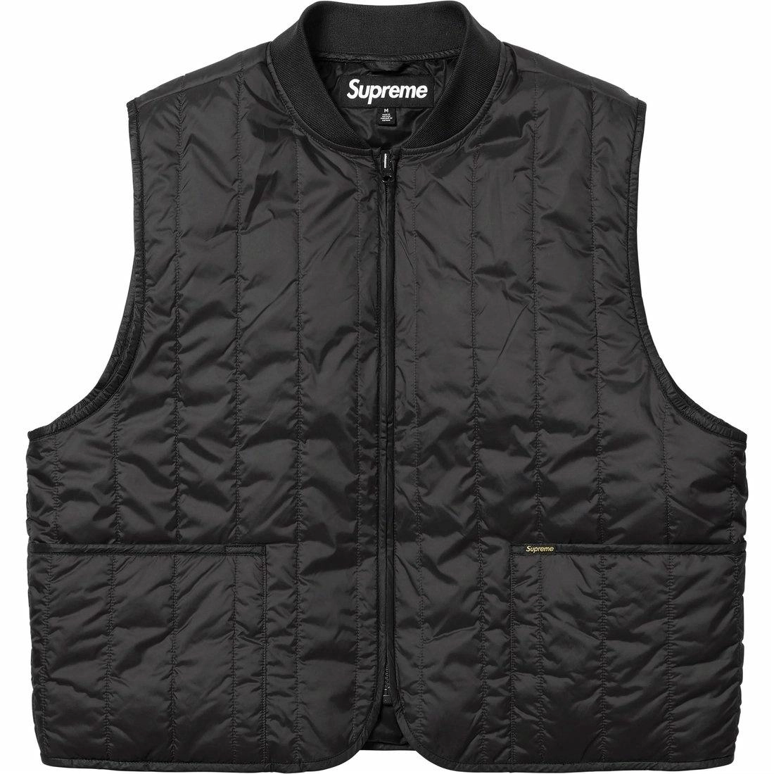 Supreme SS25 WEEK1 2-in-1 GORE-TEX Shell + Quilted Liner Vest