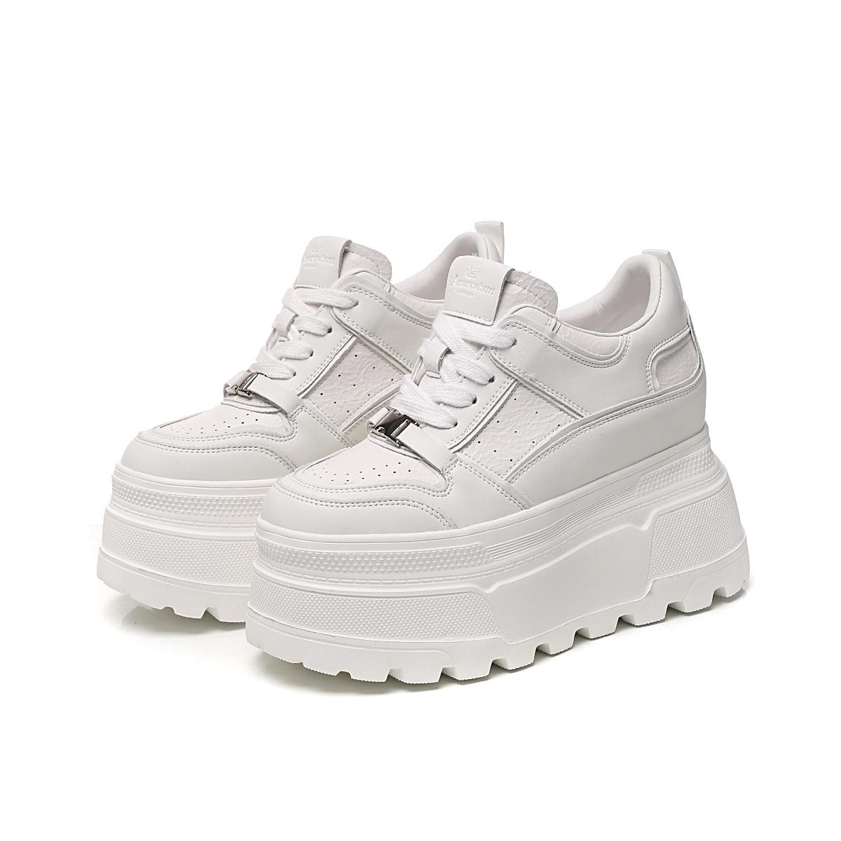 AQUASCUTUM