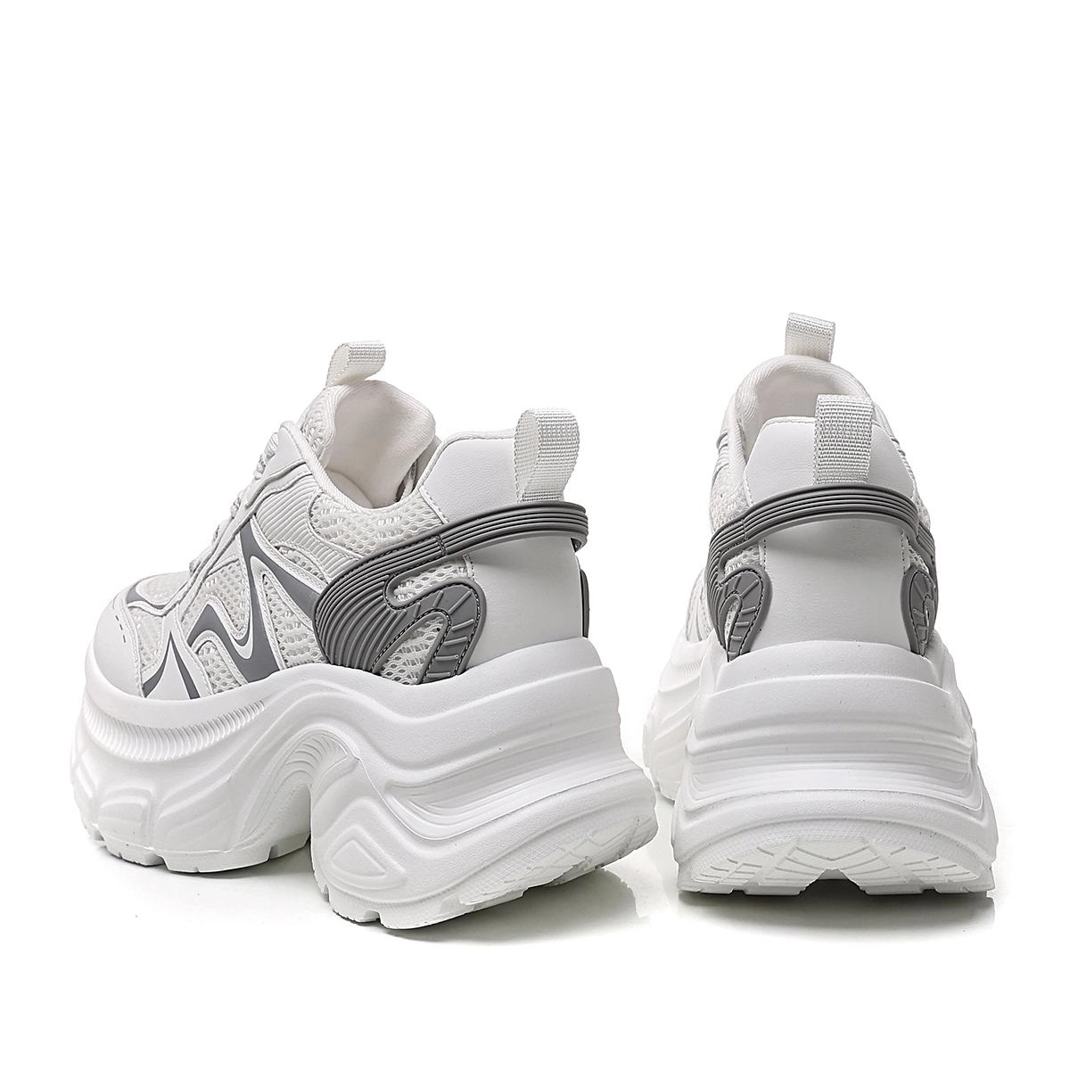 AQUASCUTUM