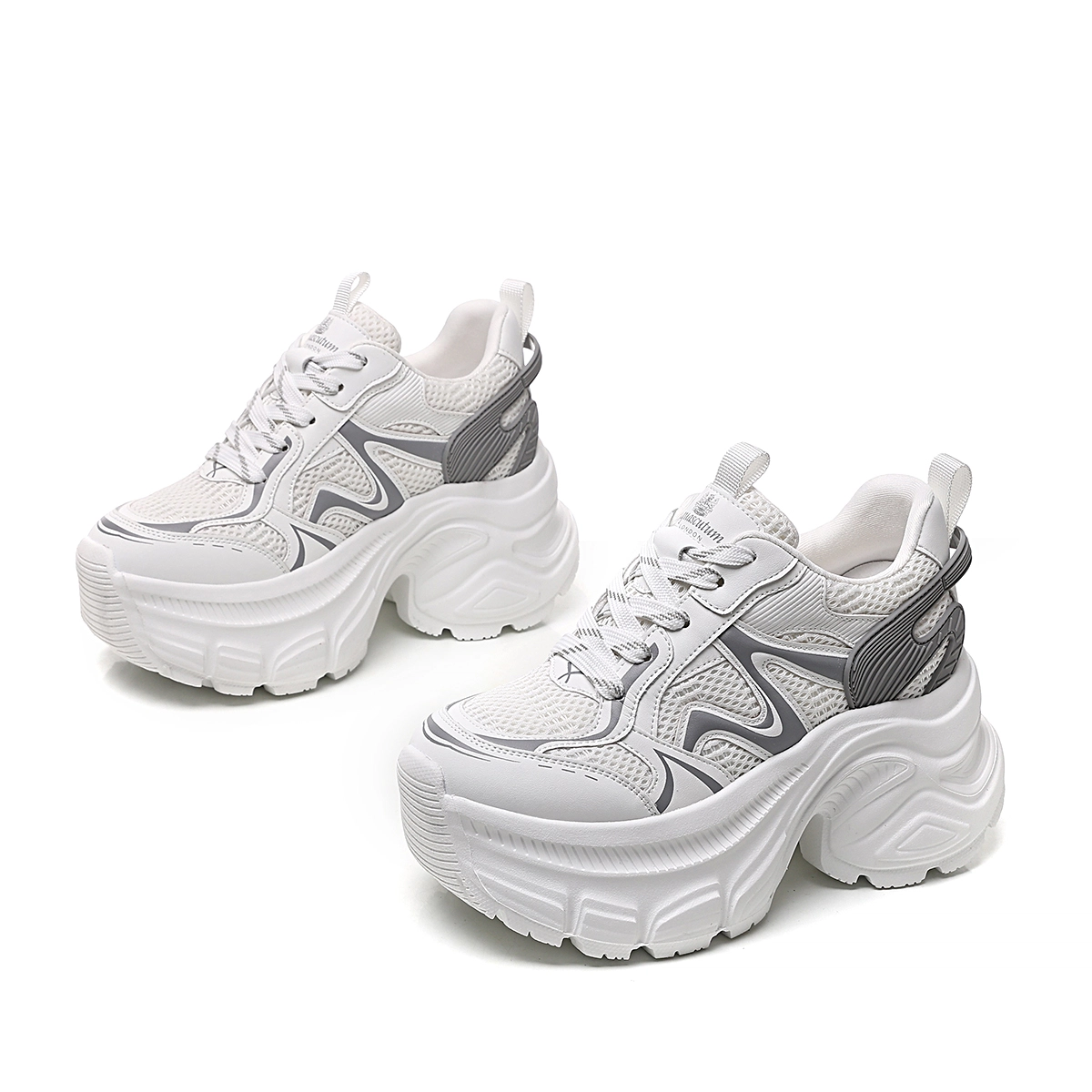 AQUASCUTUM