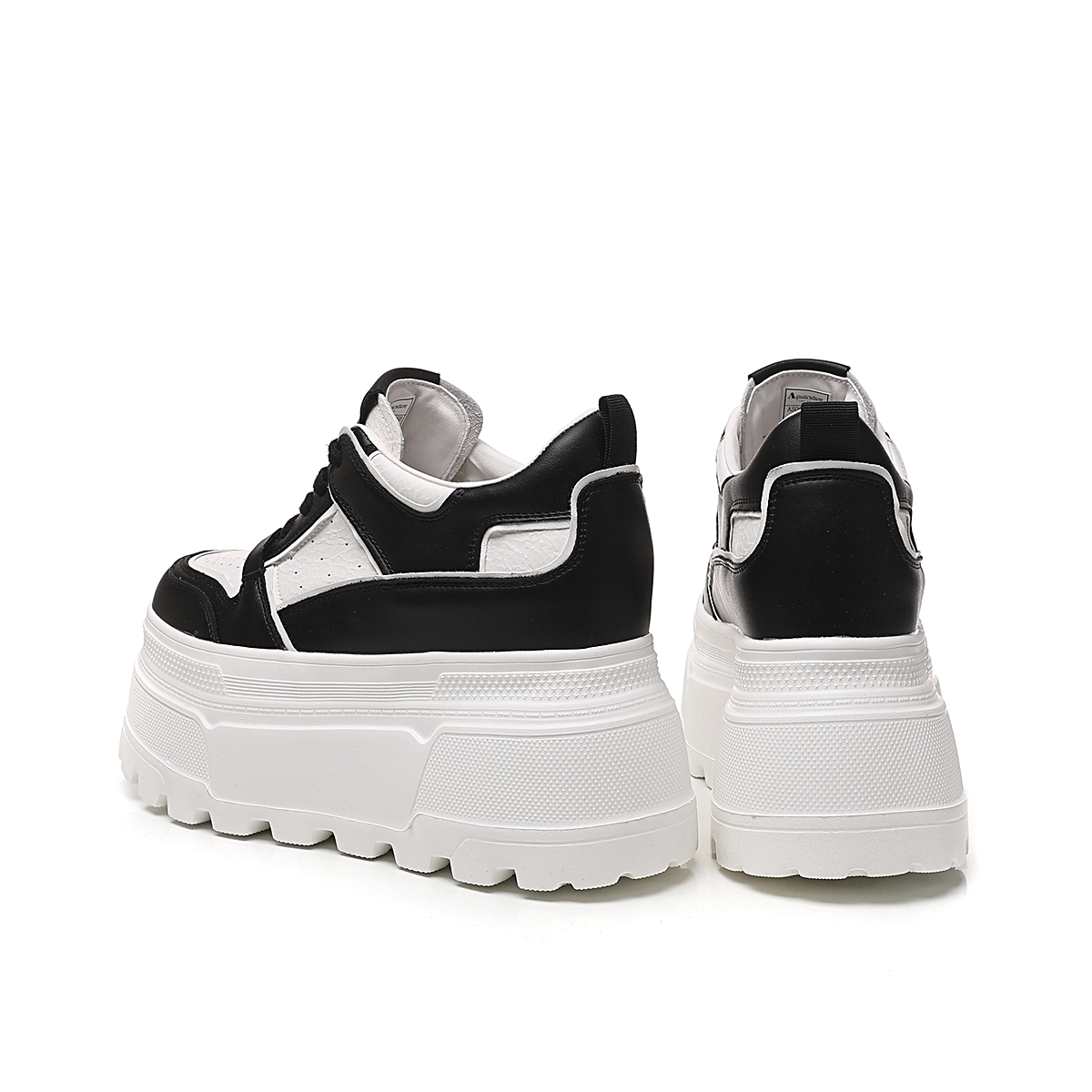 AQUASCUTUM