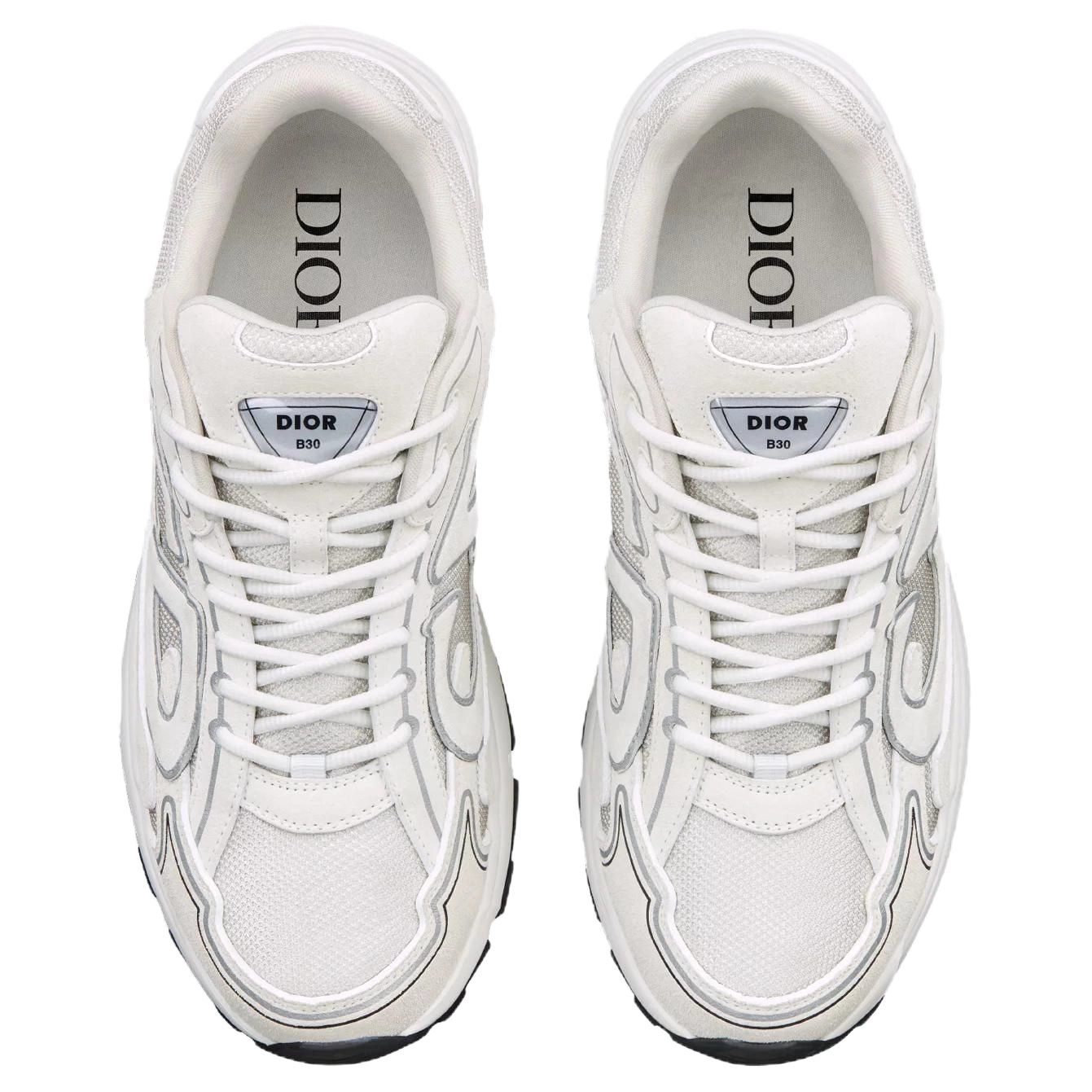 DIOR B30