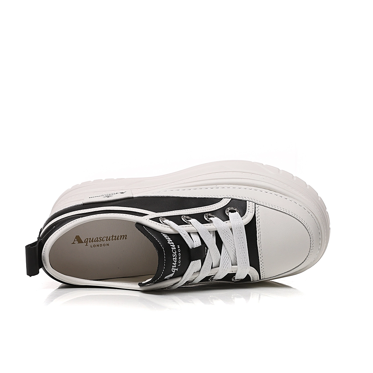 AQUASCUTUM