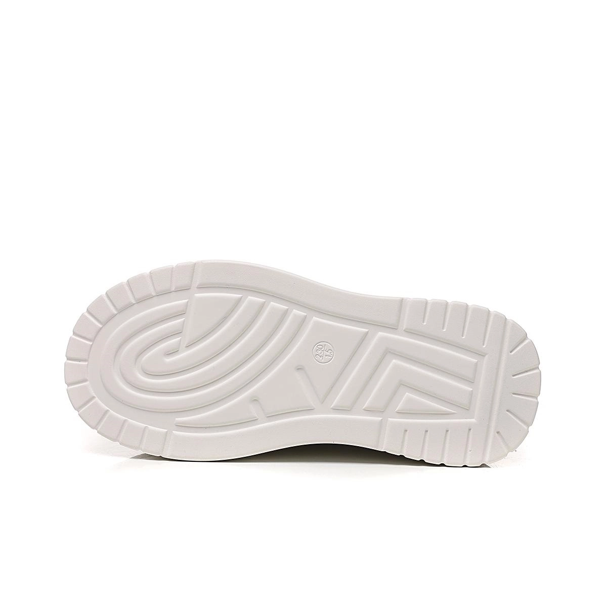 AQUASCUTUM