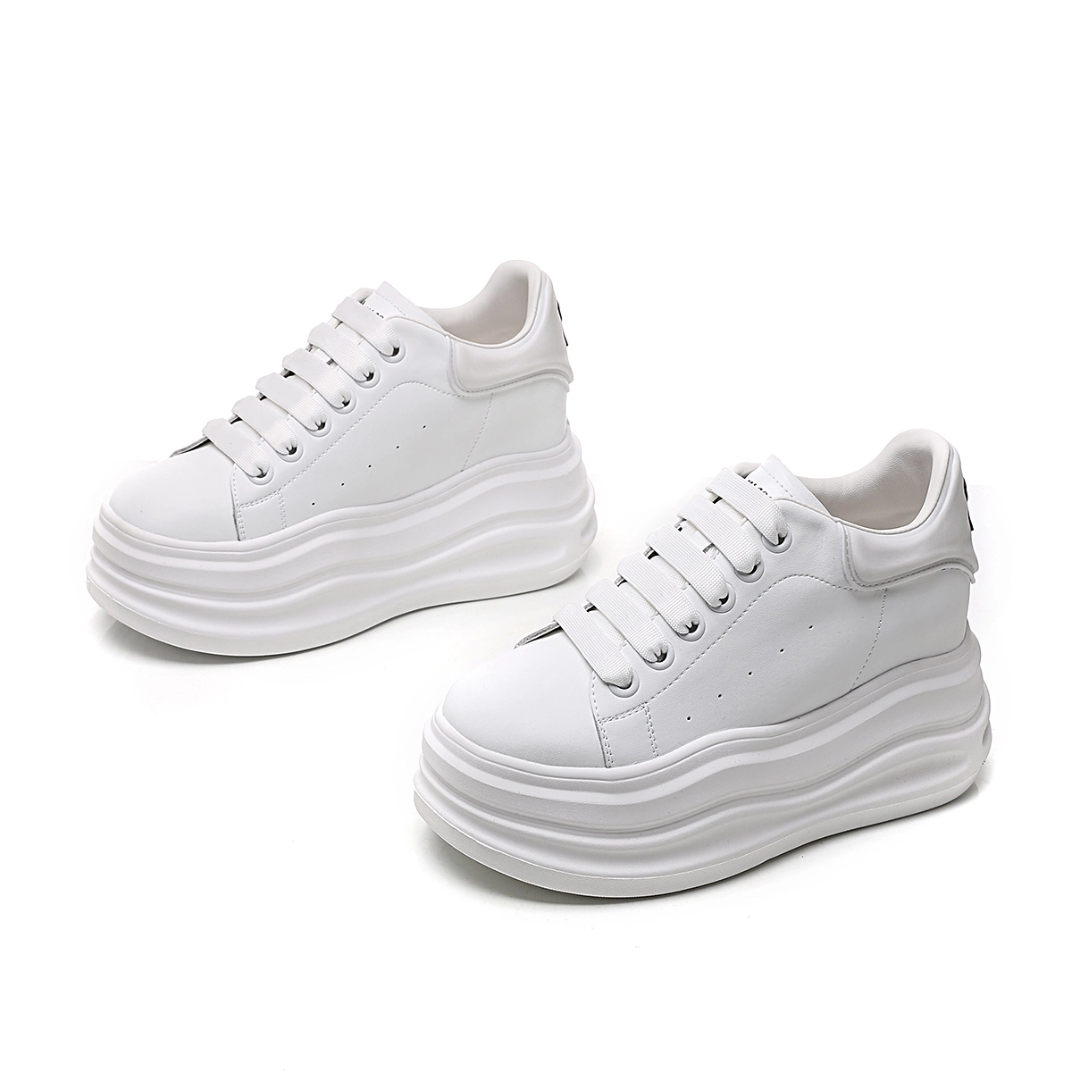AQUASCUTUM