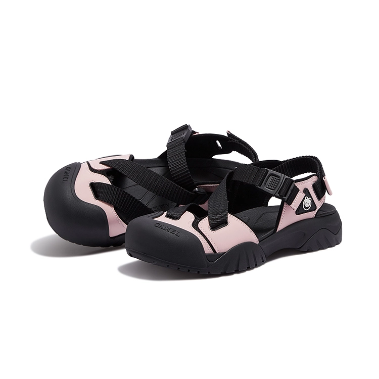 x CAMEL