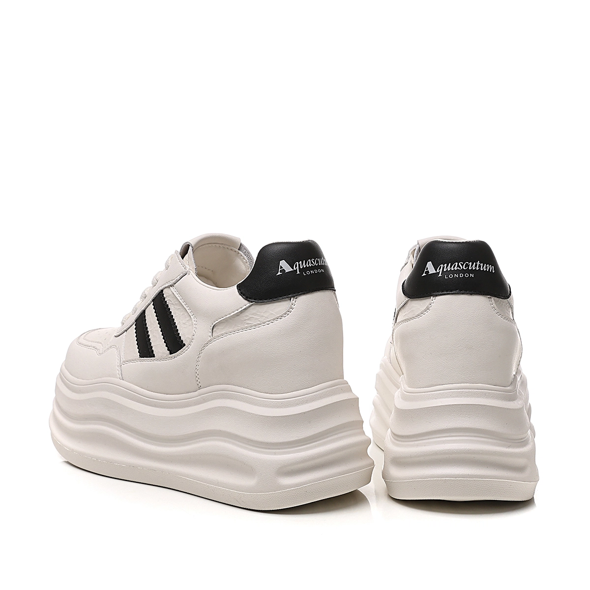 AQUASCUTUM