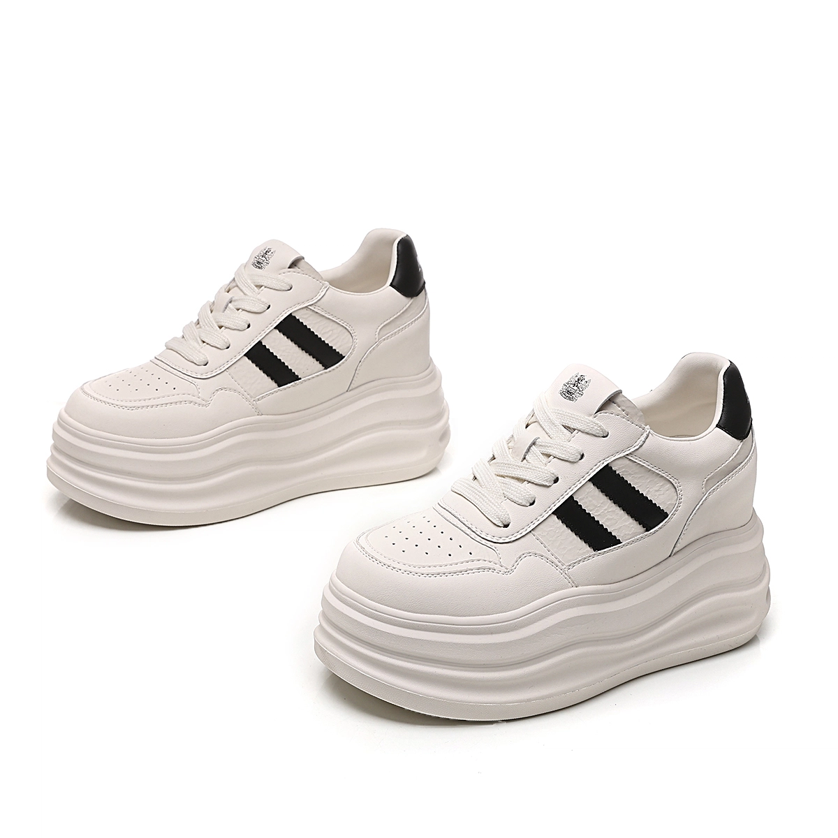 AQUASCUTUM