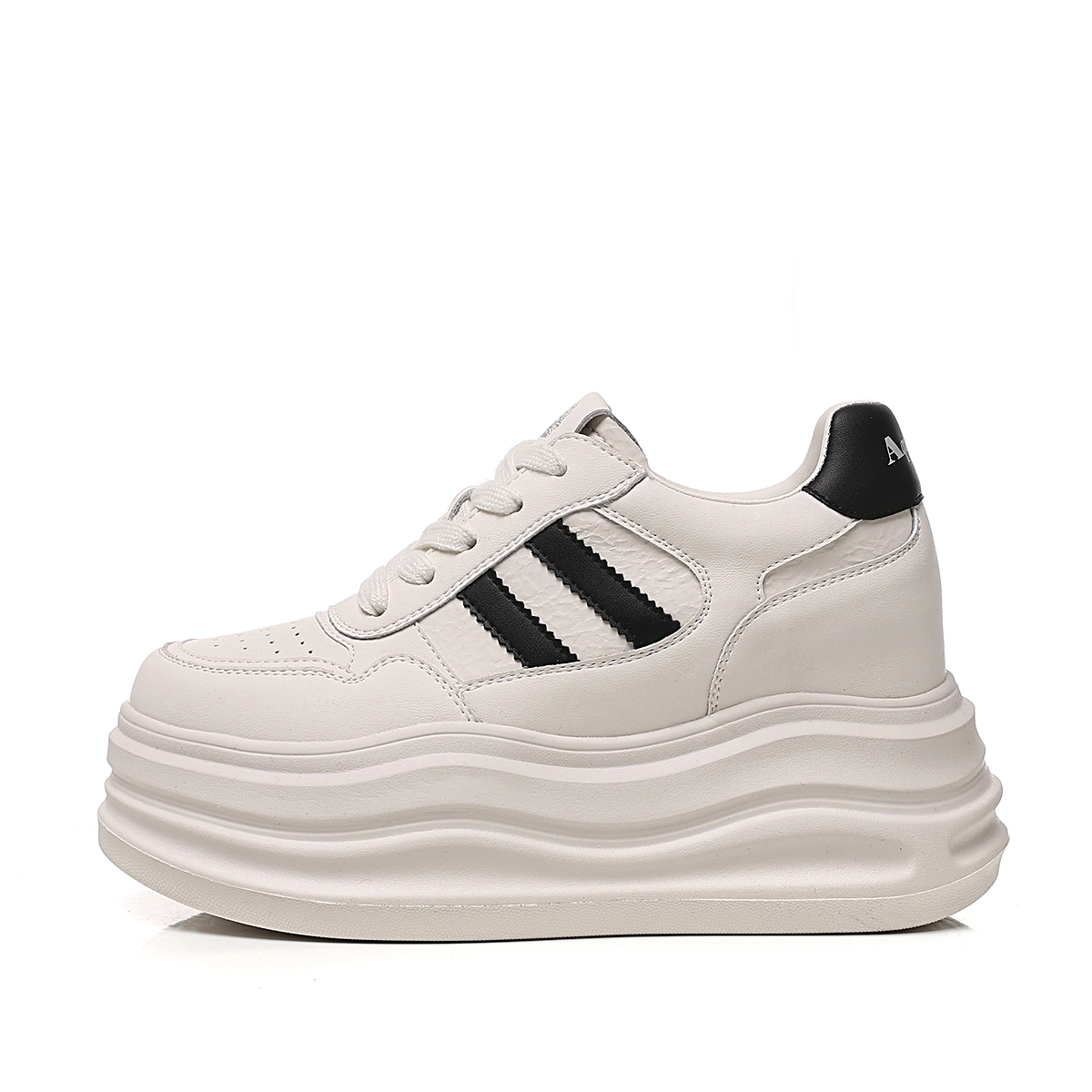 AQUASCUTUM