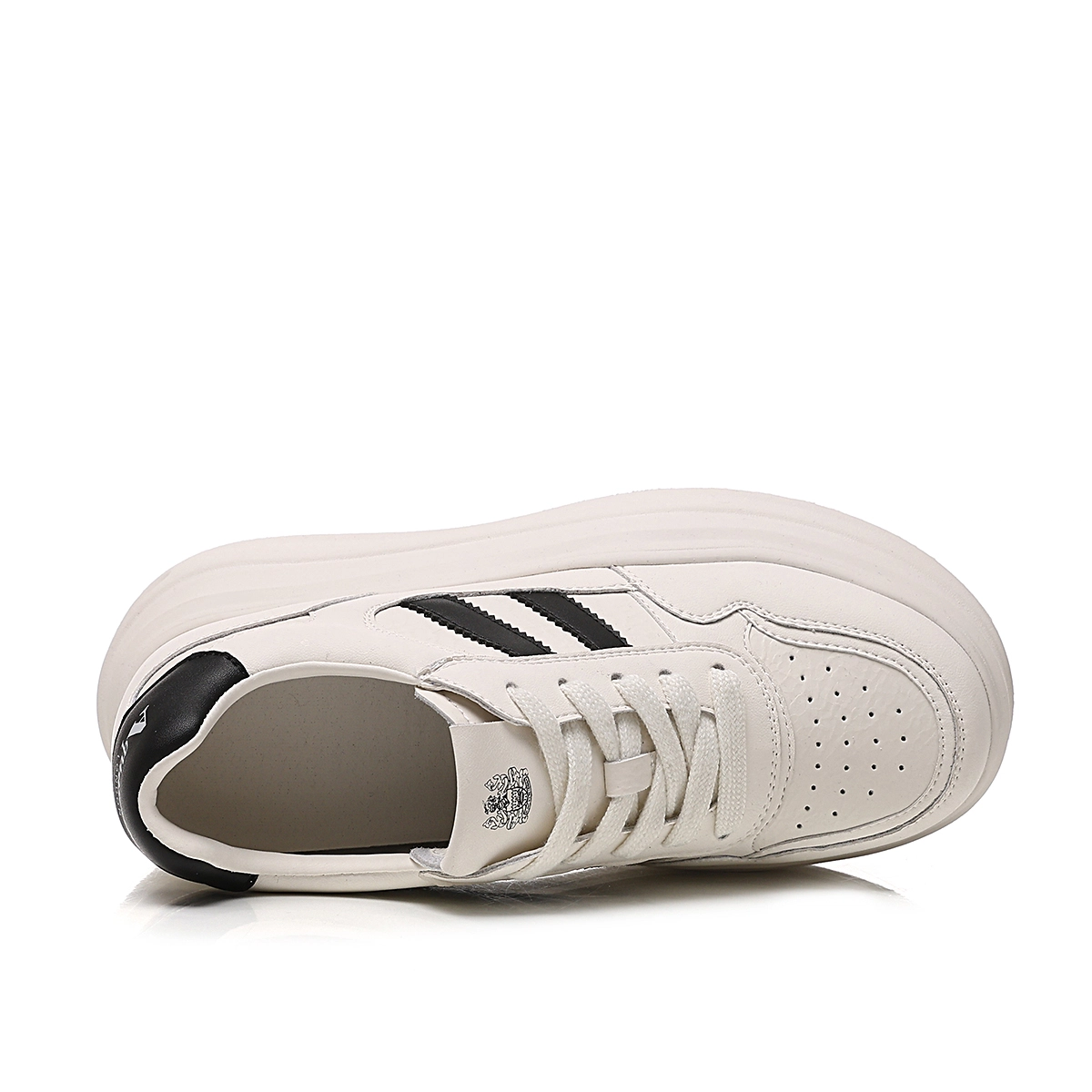 AQUASCUTUM
