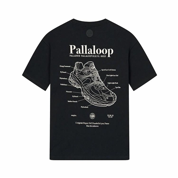 Palladium logoT