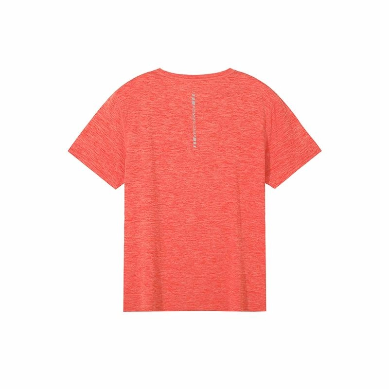 PIONEER CAMP T
