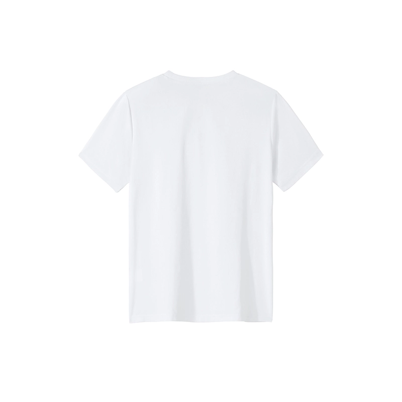 PIONEER CAMP T