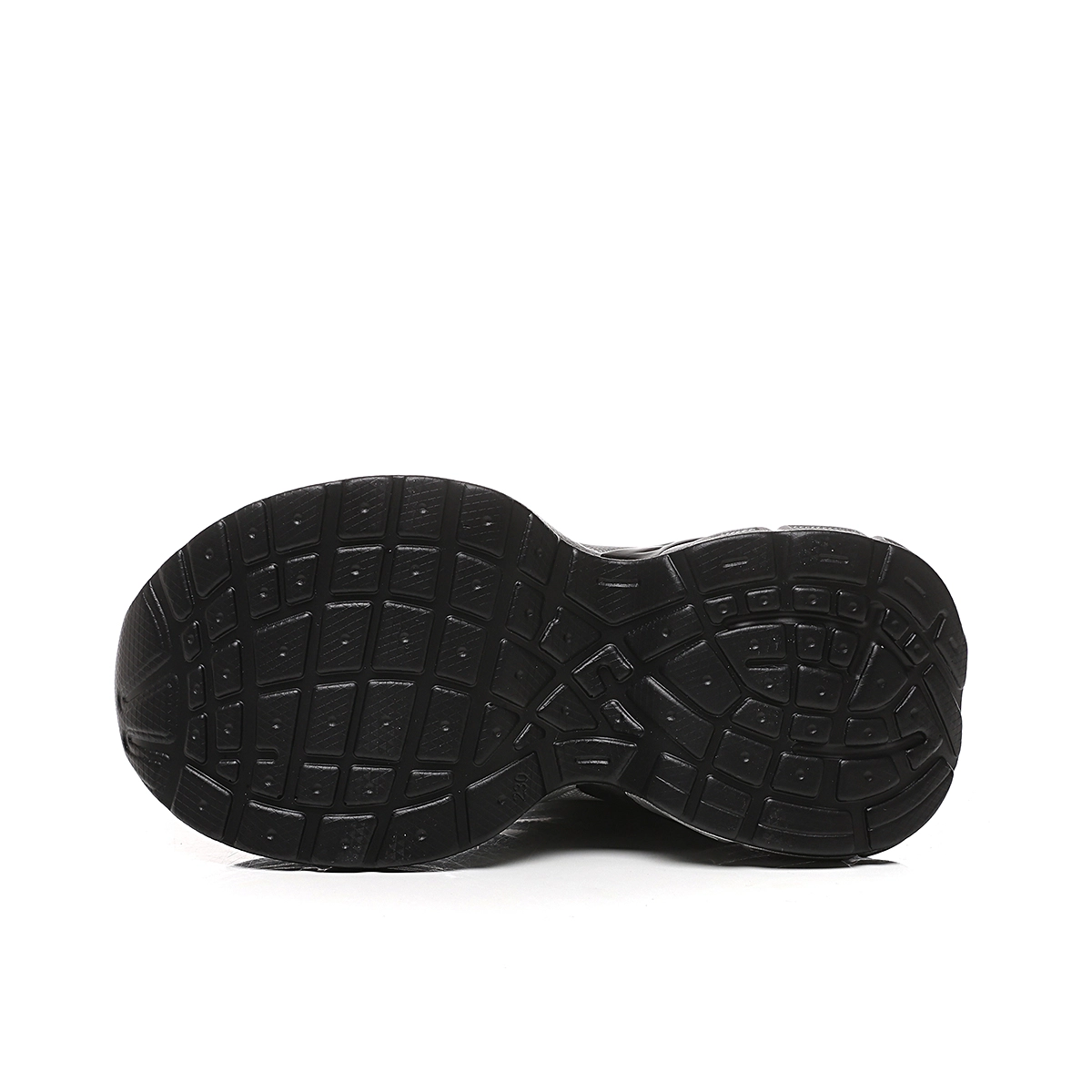 AQUASCUTUM
