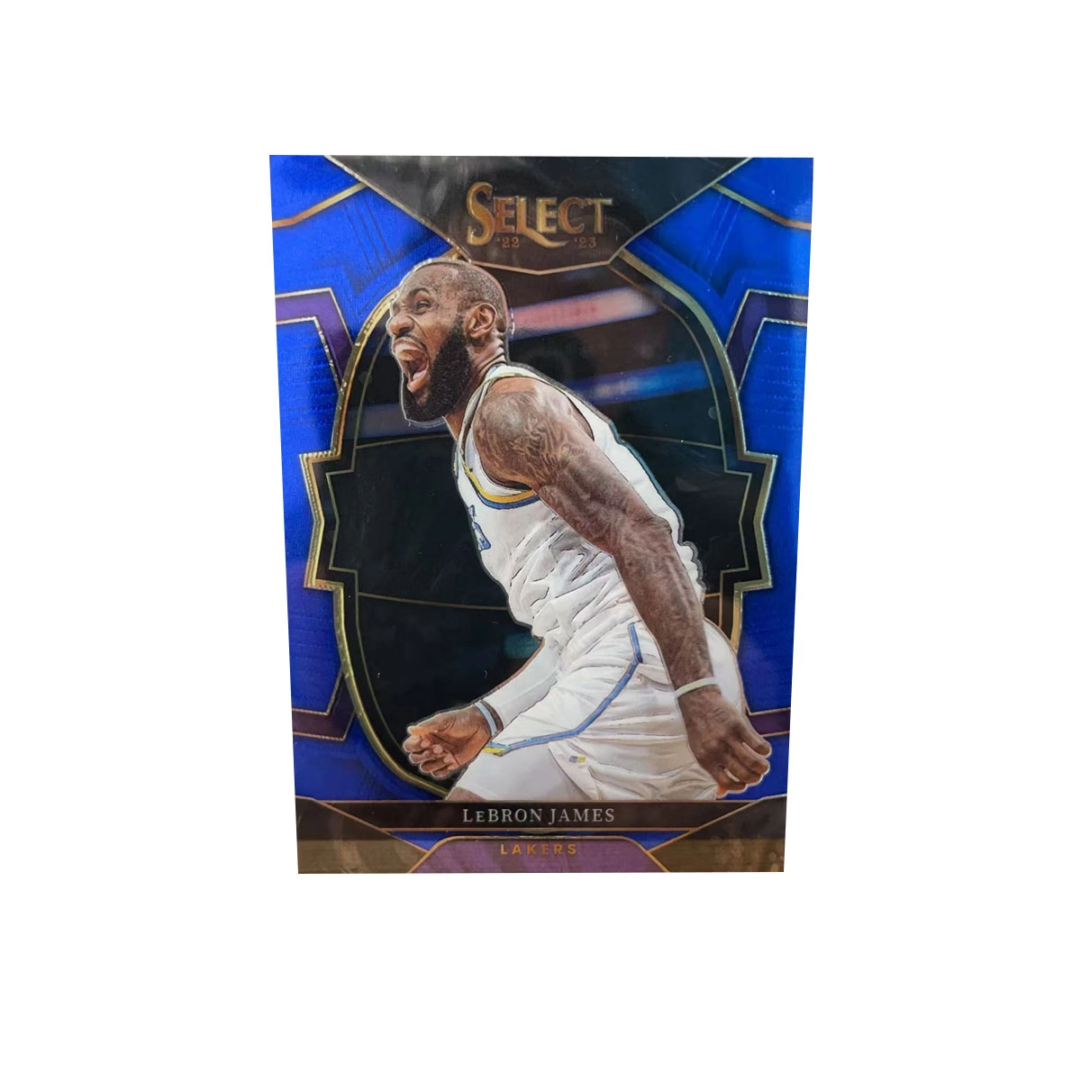 PANINI 2022-23 SELECT