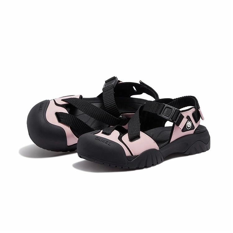 x CAMEL