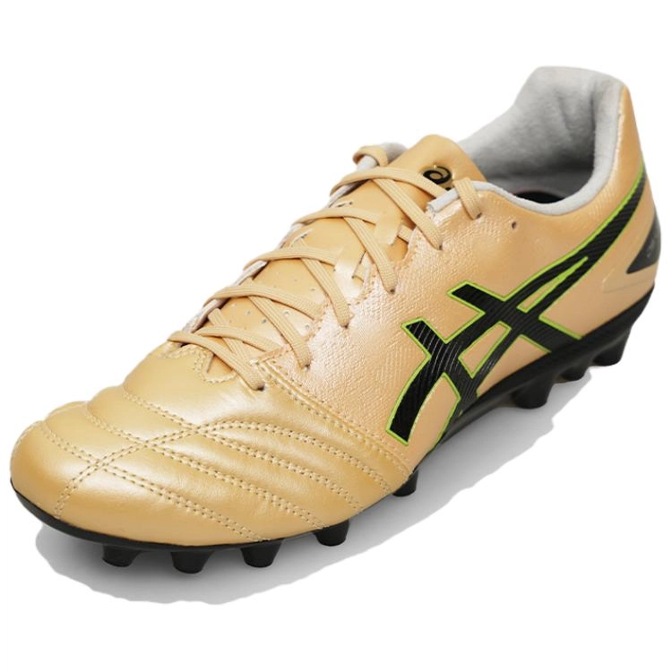 Asics DS LIGHT PRO AG