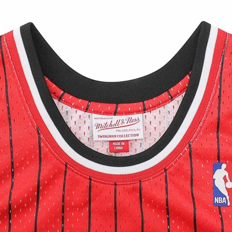 Mitchell Ness SW 95-96 33