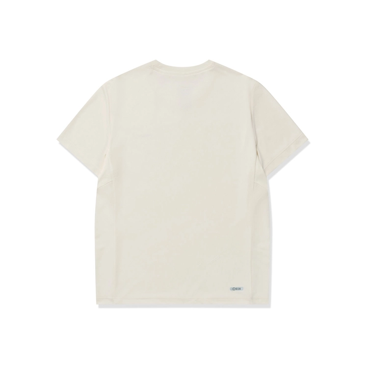 logo T DS