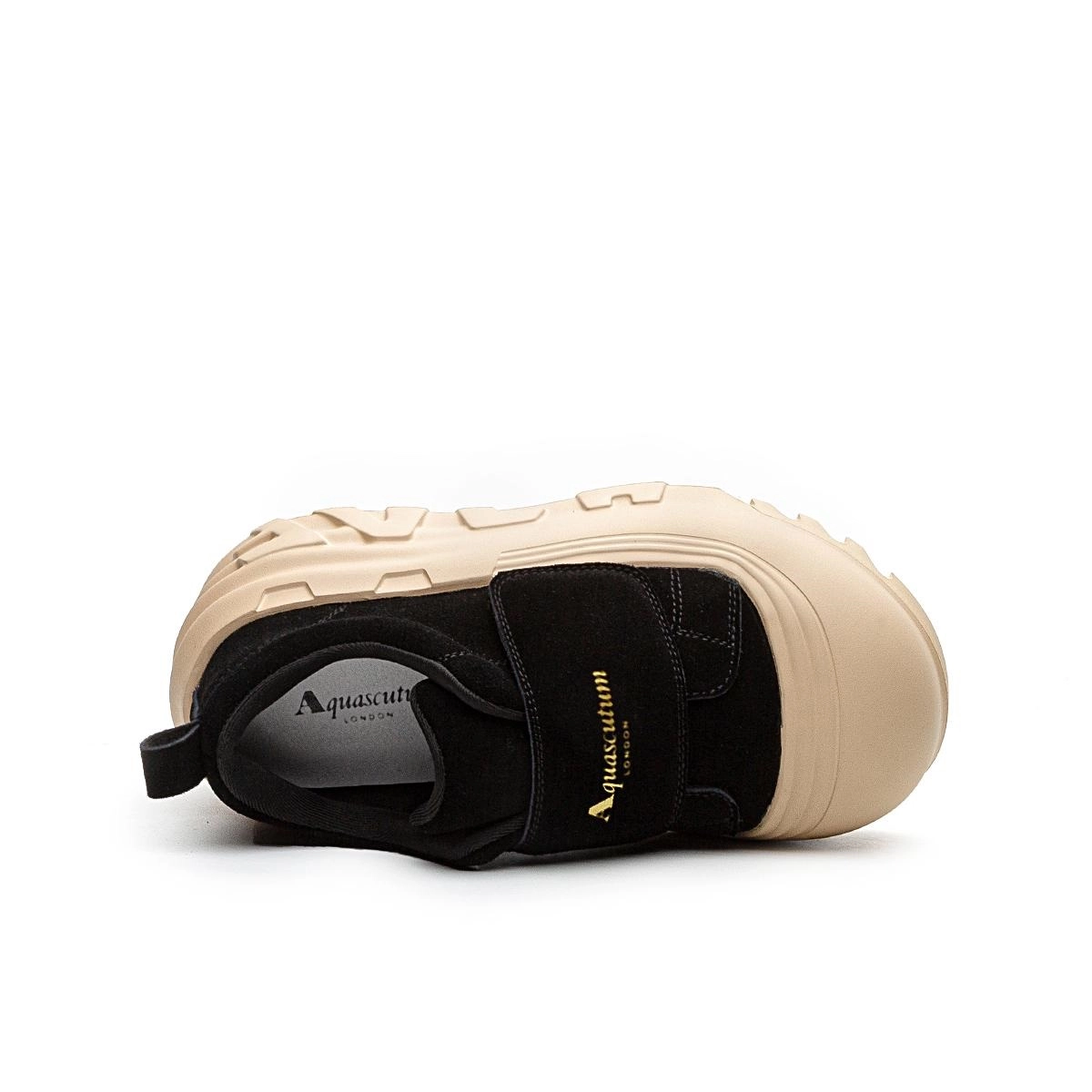 AQUASCUTUM