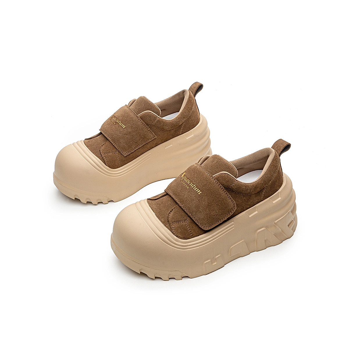 AQUASCUTUM