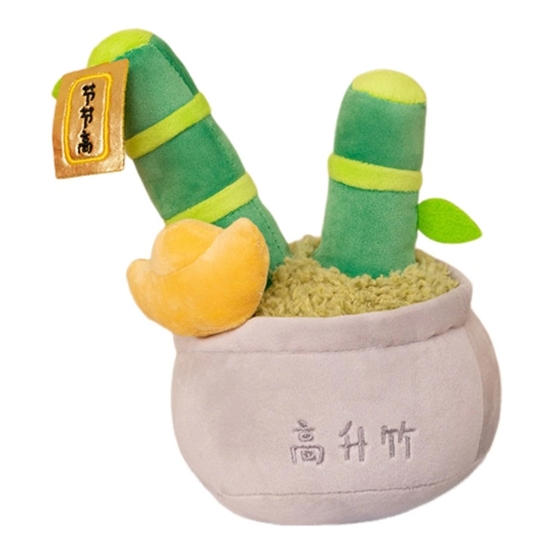26cm
