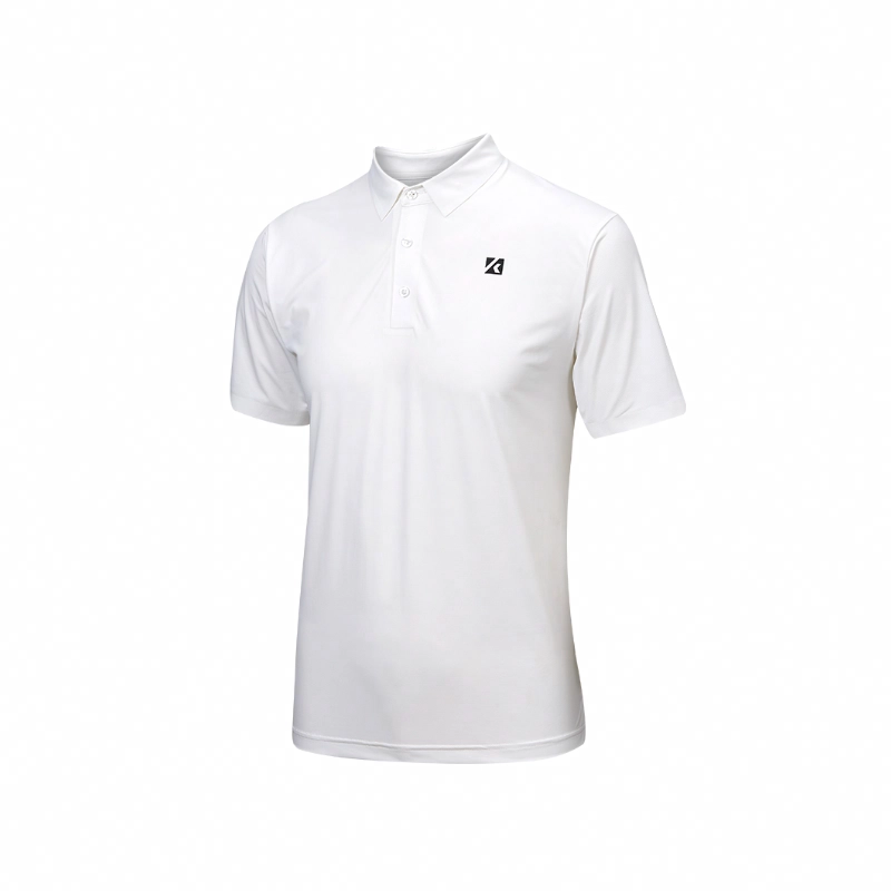 Kawasaki Polo