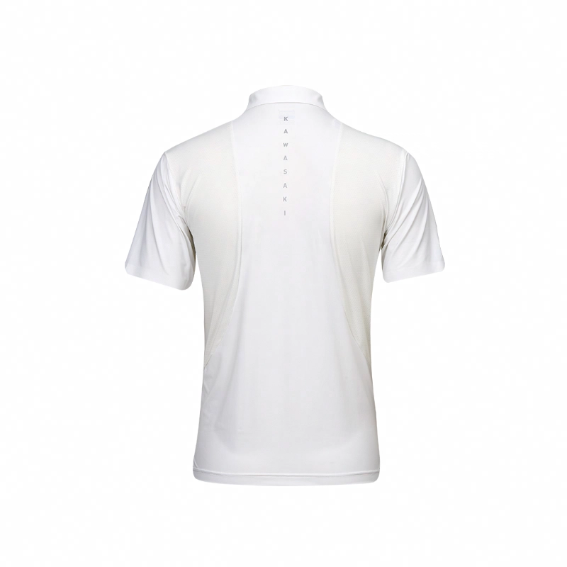 Kawasaki Polo